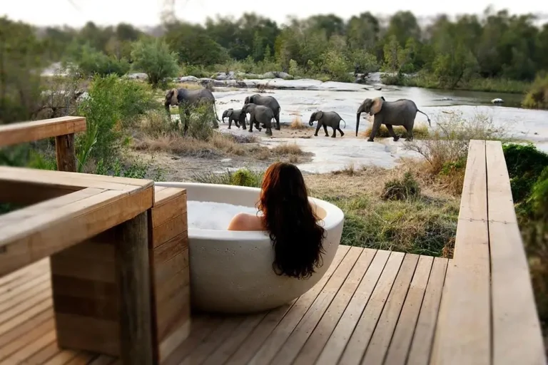 Top 10 Luxury Safari Lodges in South Africa Loved by Americans